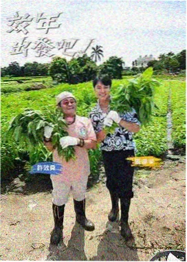 保镖电影综艺